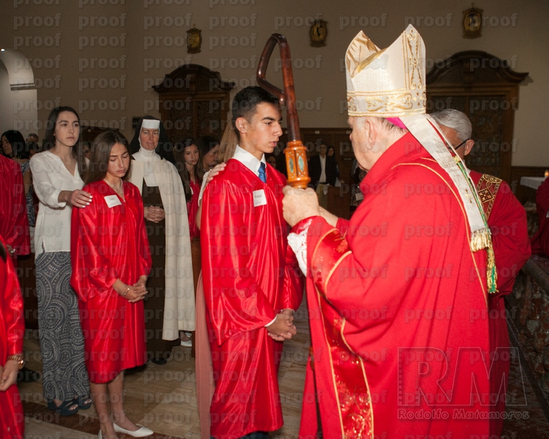 RMLF12308 Photo