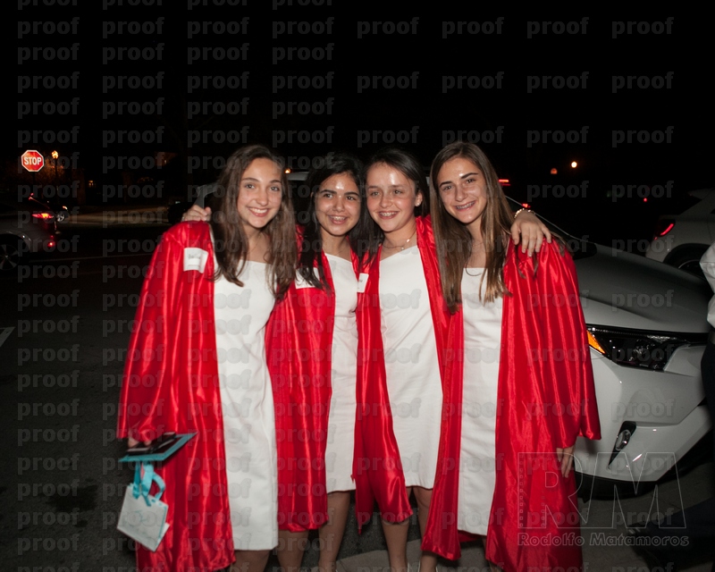 RMLF12521 Photo