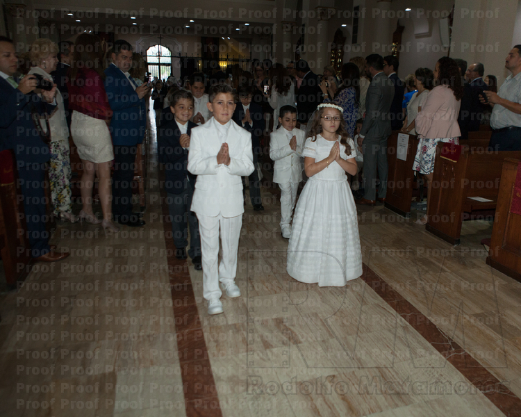 RMLF16426 Photo