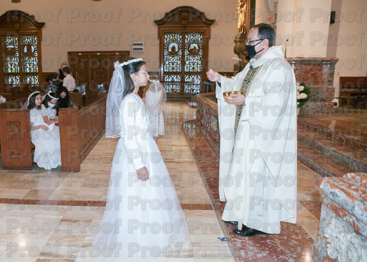 RMLF20979 Photo