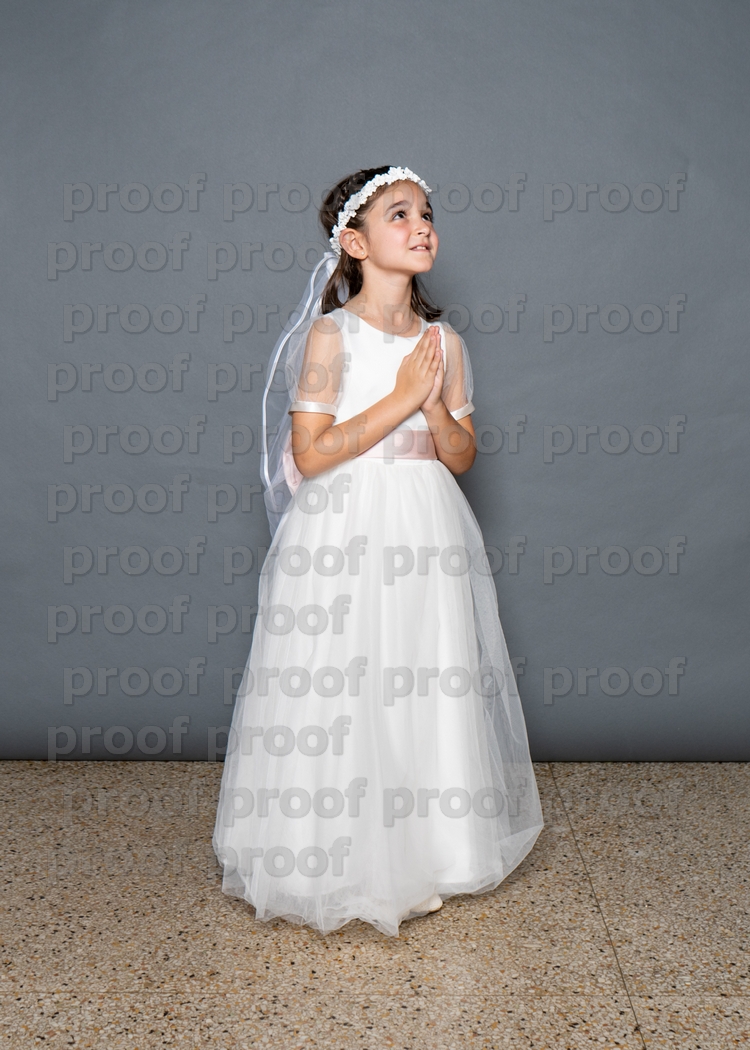 RMLF24826 Photo