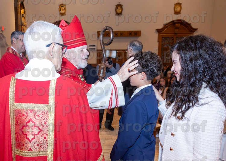 RMLF28026 Photo