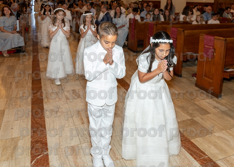 RMLF28309 Photo
