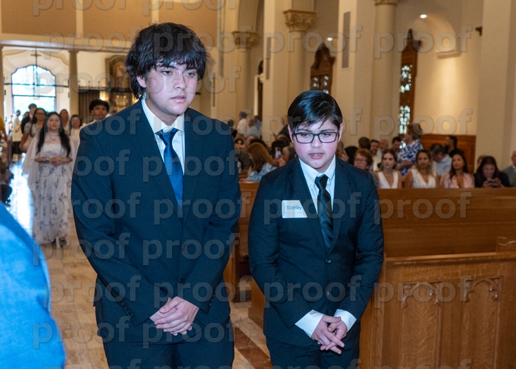 RMLF31178 Photo